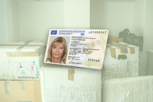 Musterausweis vor einem Stapel gepackter Umzugskartons